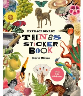 Extraordinary Things Sticker Book - Maria Rivans