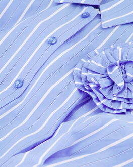 Fabienne Chapot Blouse lange mouw cltbls11 irina Blauw - 40