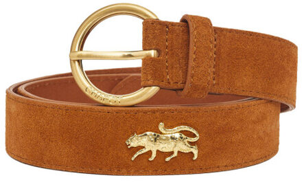 Fabienne Chapot Riem accblt11 studded - maat 85 Bruin