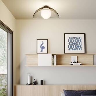 Fabronia plafondlamp, zwart/wit, glas, globe, E27 zwart, wit