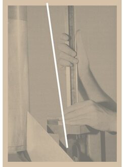 Failing Forward - Marjolein Blom