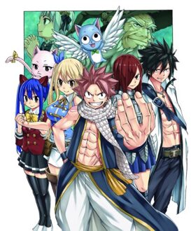 Fairy Tail: 100 Years Quest 6 - Fairy Tail: 100 Years Quest - Hiro Mashima