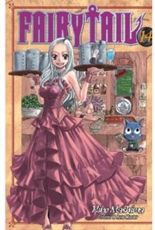 Fairy Tail 14