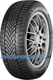 Falken car-tyres Falken EUROWINTER HS02 ( 205/45 R17 88V XL, met velgrandbescherming (MFS) BLK )