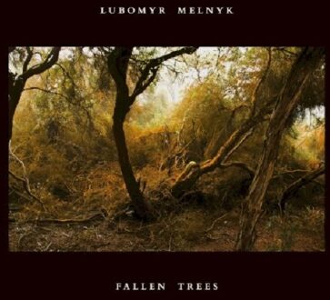 Fallen Trees
