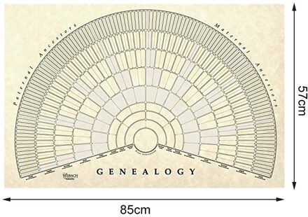Familie Boom Grafiek Te Vullen In 5/6/7 Generatie Genealogie Poster Blank Invulbare Voorouders Grafiek FOU99 h