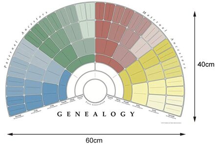 Familie Boom Grafiek Te Vullen In 5/6/7 Generatie Genealogie Poster Blank Invulbare Voorouders Grafiek FOU99
