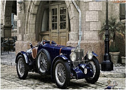 Familie Puzzel Games Huishoudelijke Bos Planten 1000 Stuk Volwassen Kinderen Puzzel Patroon Kinderspeelgoed Blauw