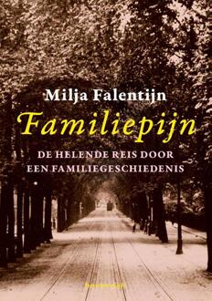 Familiepijn -  Milja Falentijn (ISBN: 9789491835537)
