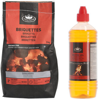 Fancy Flames BBQ aanmaakset - briketten - 3 kilo - met Bio aanmaakgel