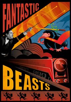 Fantastic Beasts Photographic Unisex T-Shirt - Black - L Zwart