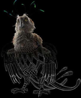 Fantastic Beasts Tribal Augurey trui - Zwart - L