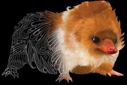 Fantastic Beasts Tribal Baby Niffler hoodie - Zwart - S