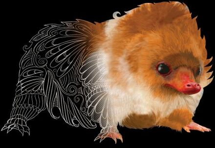 Fantastic Beasts Tribal Baby Niffler t-shirt - Zwart - XXL