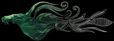 Fantastic Beasts Tribal Kelpie t-shirt - Zwart - S