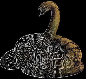 Fantastic Beasts Tribal Nagini hoodie - Zwart - XL