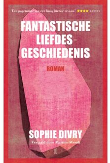 Fantastische Liefdesgeschiedenis - Sophie Divry
