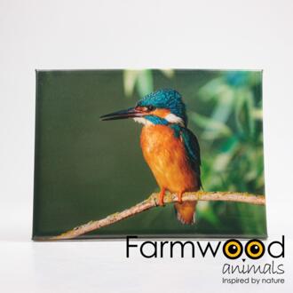 Farmwood Animals Buitenschilderij ijsvogel 30x40cm blauw