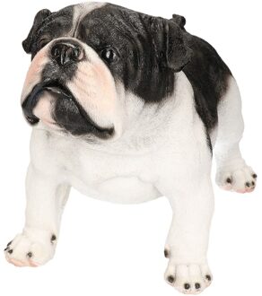 Farmwood Animals Dierenbeeld Engelse Bulldog - polystone - staand - 41 x 21 x 27 cm - huisdieren honden beeldjes Multi
