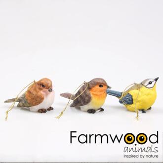 Farmwood Animals Farmwood Vogel met hanger 8x3,5x5cm verschillende