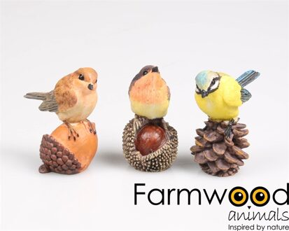 Farmwood Animals Tuinbeeld Vogel op noot 5x3x6 cm verschillende
