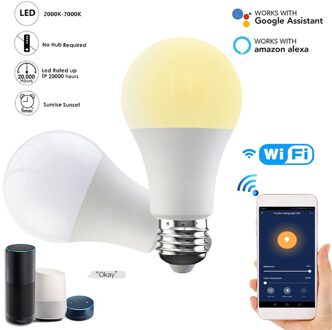 Fcmila E27/B22 Smart Wifi Lamp Dimmen Gloeilamp 15W Koud & Warm Twee-Kleur Slimme Lamp voice Control Werk Met Alexa Google Thuis B22 220V