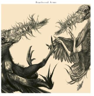 Feathered Arms - Feathered Arms