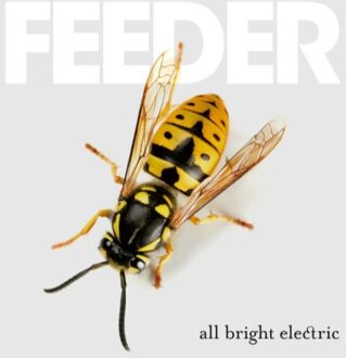 Feeder - All Bright Electric