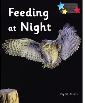 Feeding At Night - Reading Stars Phonics - Jill Atkins