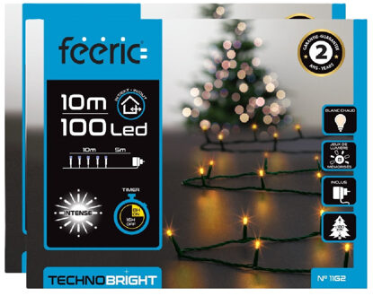 Feeric lights & Christmas Kerstverlichting - 2x st - warm wit - 10 meter - 100 led lampjes - groen snoer - 8 functies