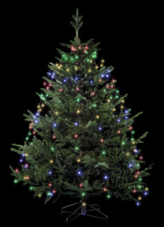 Feeric lights & Christmas Kerstverlichting - cascade - 232 leds - gekleurd - H220 cm - buiten - transformator Multi