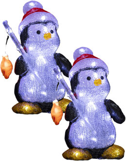 Feeric lights & Christmas Kerstverlichting figuren - 2x st - pinguin - H25 cm - 30 led lampjes - op batterij - voor buiten
