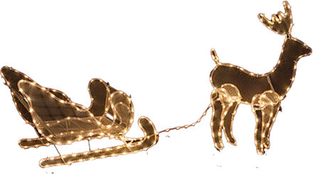 Feeric lights & Christmas Kerstverlichting figuur - rendier met slee - 154 cm - 240 led lampjes - lichtfiguur