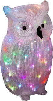 Feeric lights & Christmas Kerstverlichting figuur - uil - H47,5 cm - 60 gekleurde led lampjes - acryl - voor buiten