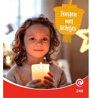 Feest Met Lichtjes - Kijkdoos - Minke van Dam