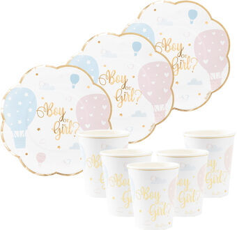 Feestbordjes/servies set - 16-delig - gender reveal - blauw roze - rond - papier/karton