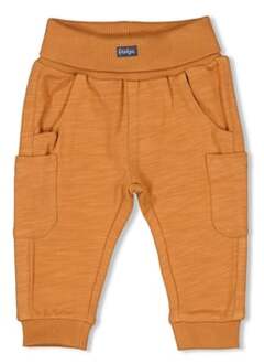 Feetje Broek Animals Camel Oranje - 68