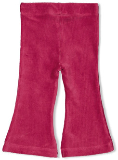 Feetje meisjes broek Paars - 74