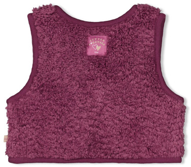 Feetje meisjes gilet Paars - 62