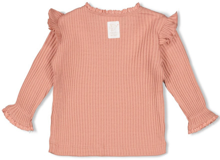 Feetje meisjes longsleeve Rose - 62