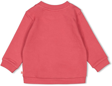 Feetje meisjes sweater Rose - 80