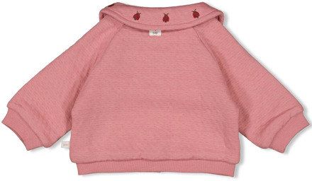 Feetje meisjes zomerjas Rose - 86