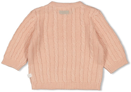 Feetje unisex trui Rose - 62