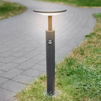 Fenia LED tuinpadverlichting, 60 cm, sensor, IP54, antraciet antraciet, opaal