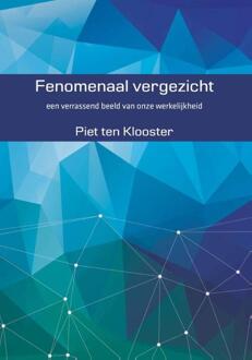 Fenomenaal vergezicht - Boek Piet ten Klooster (9492421011)