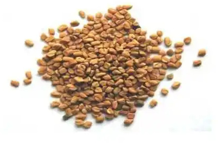 Fenugreek Seeds