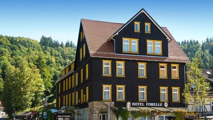 Ferien Hotel Forelle