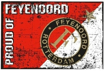 Feye Vlag feyenoord groot 100x150 cm roo