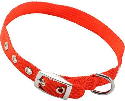 Feyenoord halsband hond rood, 40 x 2 cm