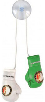 Feyenoord handschoentjes